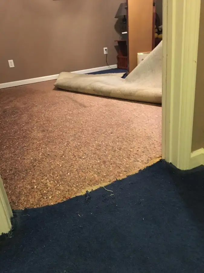 Carpet pad removal revealing water damage during Water Mitigation Services in Chestnuthill