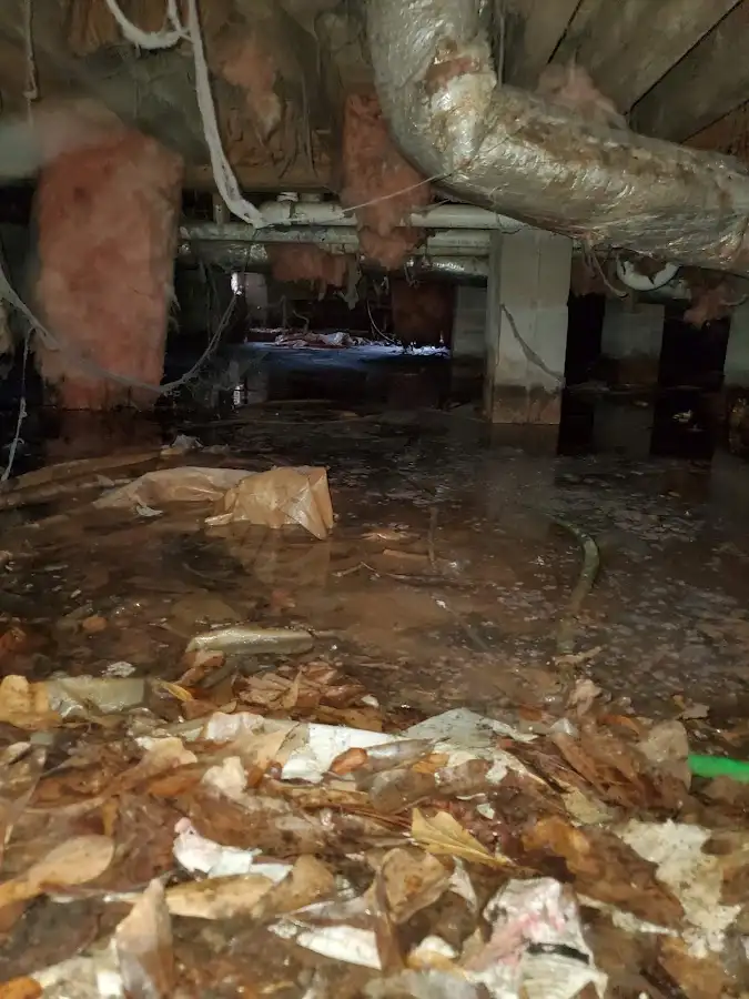 Crawl space flood assessment for Leak Detection & Repair in Chestnuthill