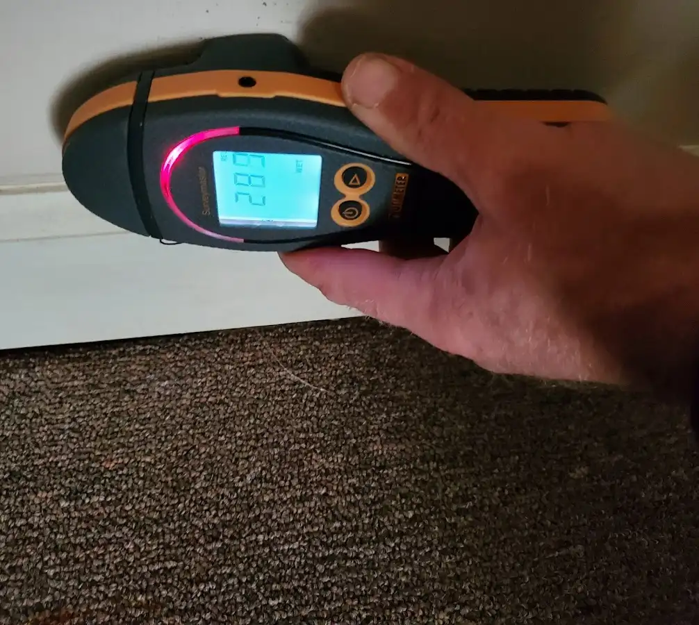 Moisture detection at baseboard during Sewage Cleanup & Sanitation in Chestnuthill